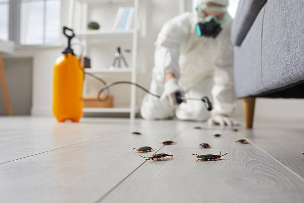 Post-Treatment Bed Bug Interceptor Monitoring in Warren AFB
